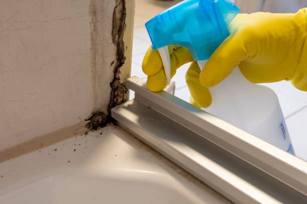 Crawl Space Mold Removal in Lac Du Flambeau, WI