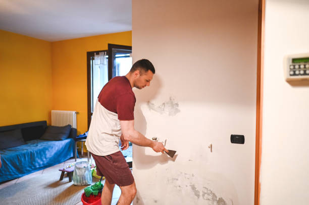 Best Office Mold Removal Services  in Lac Du Flambeau, WI