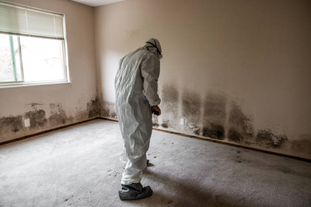 Best Mold Testing  in Lac Du Flambeau, WI