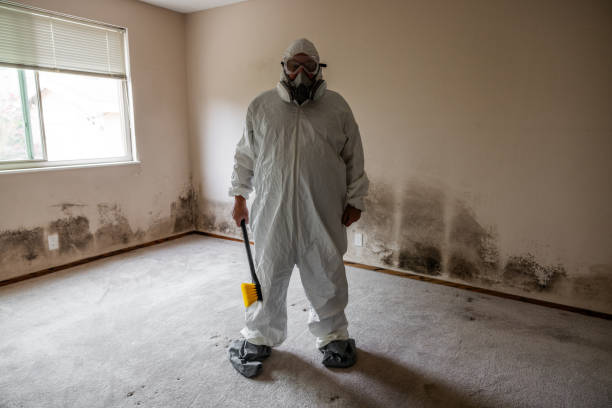 Mold Testing and Removal in Lac Du Flambeau, WI